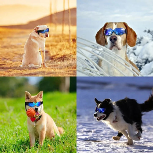 Load image into Gallery viewer, UV Protection Dog Sunglasses
