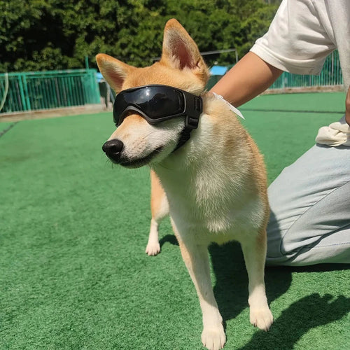 Load image into Gallery viewer, Adjustable UV Protection Puppy Sunglasses
