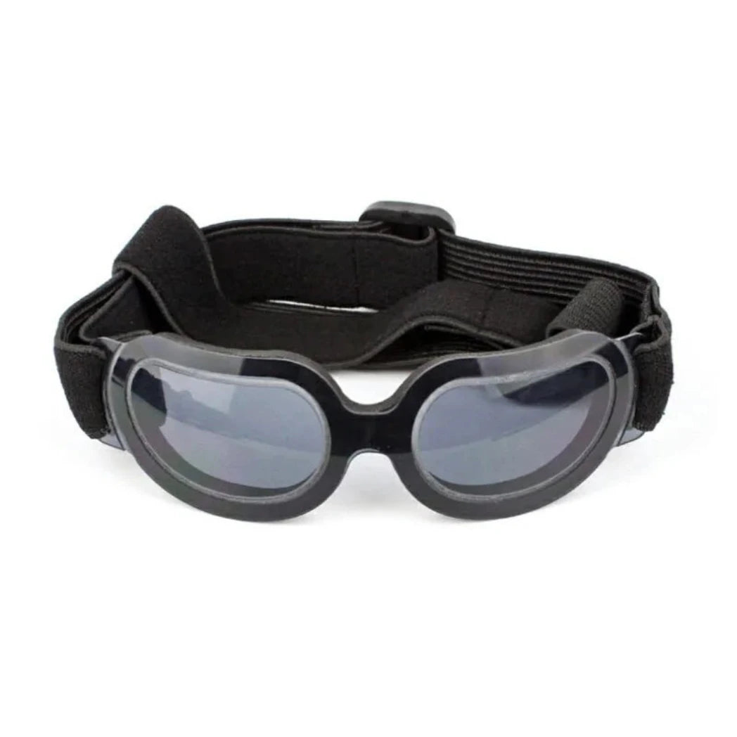 UV Protection Dog Sunglasses in Black