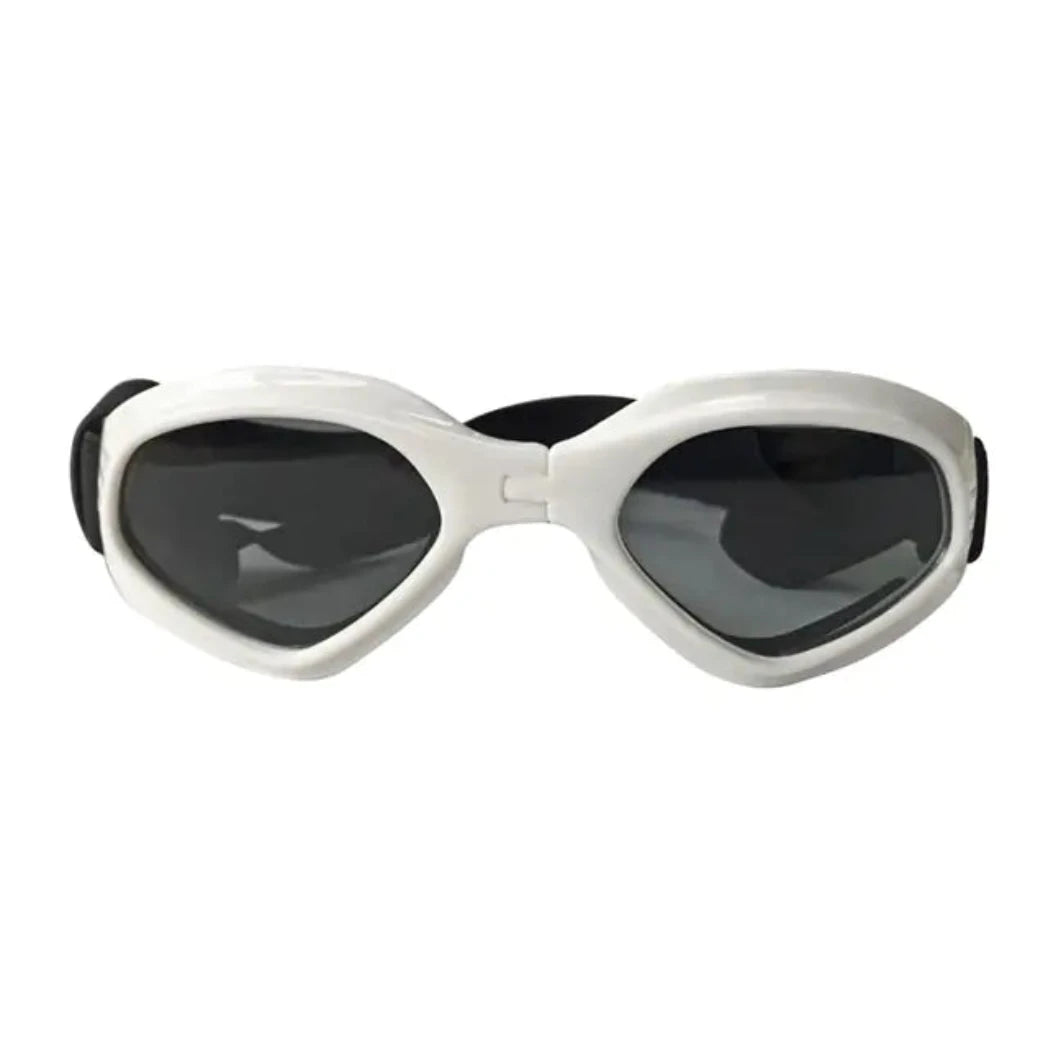 Dog Sunglasses in White